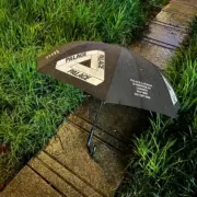 PALACE 22FW Shop Umbrella Black 三角logo 碳纖維 雨傘洋傘