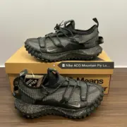 【預售】NK ACG Mountain Fly Low GTX SE 機能 戶外功能鞋運動鞋休閒鞋 DD2861-002