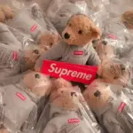 SUP x Steiff 18Fw Boxlogo 泰迪熊玩偶毛絨公仔 帽T熊