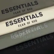 21SS FEAR OF GOD FOG ESSENTIALS 2021 副線 後背印花 大學T 衛衣：圖片 4
