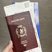 巴黎 BLC 24SS Passport 錢包長夾零錢包皮夾護照套護照夾卡套 牛皮 紅棕色：圖片 4
