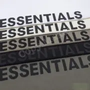 20SS FEAR OF GOD FOG ESSENTIALS 2020 副線 胸口印花 長袖 T恤：圖片 3