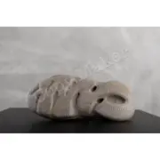 【現貨】YEEZY Foam Runner "Stone Sage" 灰棕 鼠尾草 洞洞鞋 洞洞拖 拖鞋 YZY GX4472：圖片 5
