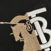 BR 23SS Contrast Logo Graphic Tee 經典 刺繡TB 戰馬logo 短袖 T恤：圖片 12