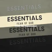 21SS FEAR OF GOD FOG ESSENTIALS 2021 副線 後背印花 長袖 T恤：圖片 16