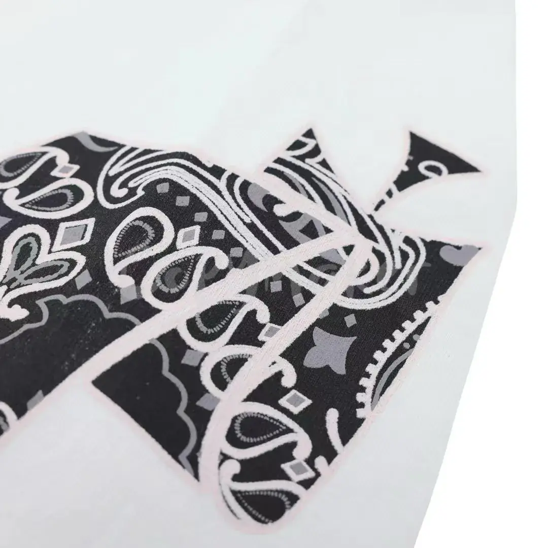 Askyurself V11 Paisley Banned Long Sleeve 變形蟲圖騰腰果花 重磅長袖T恤長T