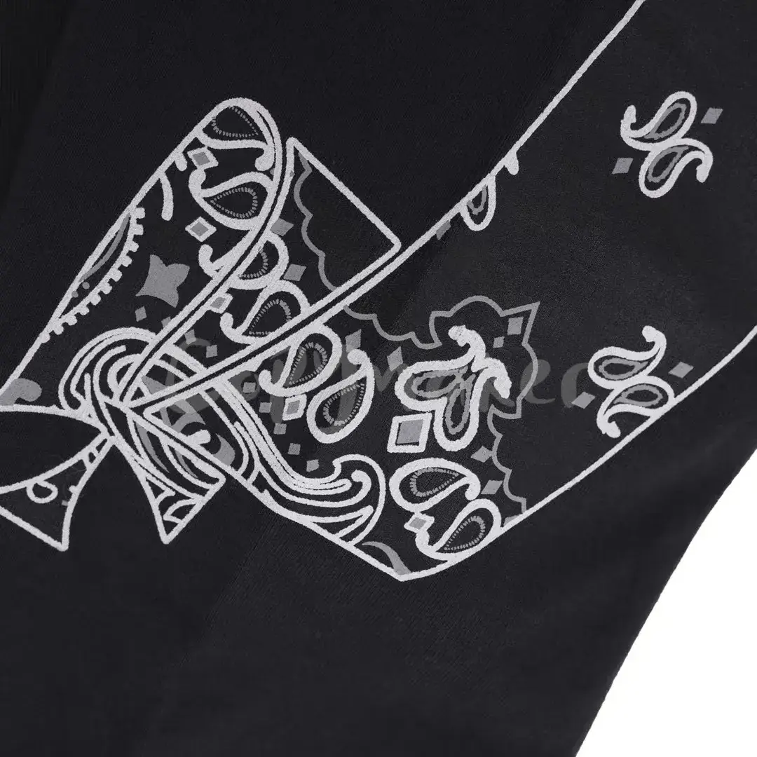 Askyurself V11 Paisley Banned Long Sleeve 變形蟲圖騰腰果花 重磅長袖T恤長T