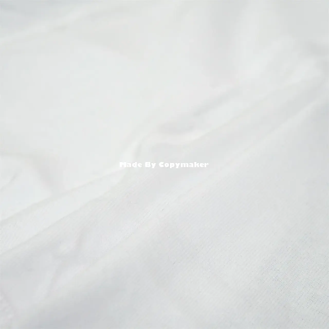 Sup x Hanes 22SS 聯名 Boxer Briefs 字母 內褲 內搭褲