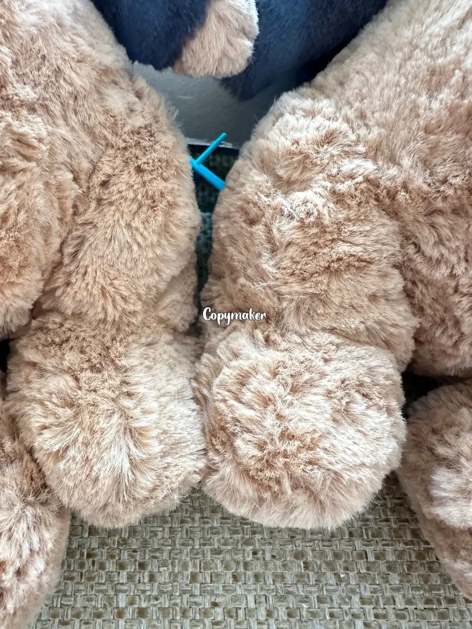 【預售】【過驗】Jellycat 萬聖節系列 巴塞羅那熊蝙蝠 安撫玩偶娃娃 坐高26cm