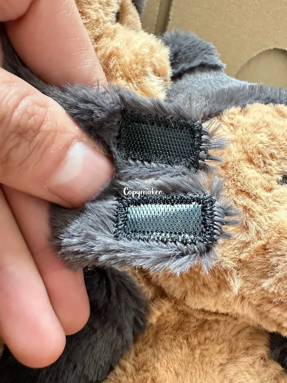 【預售】【過驗】Jellycat 萬聖節系列 巴塞羅那熊蝙蝠 安撫玩偶娃娃 坐高26cm