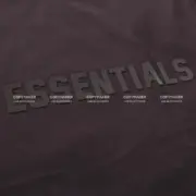 23SS FOG ESSENTIALS 副線 膠標 短袖T恤 2023 FEAR OF GOD 莫蘭迪：圖片 18