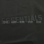 23SS FOG ESSENTIALS 副線 膠標 短袖T恤 2023 FEAR OF GOD 莫蘭迪：圖片 36
