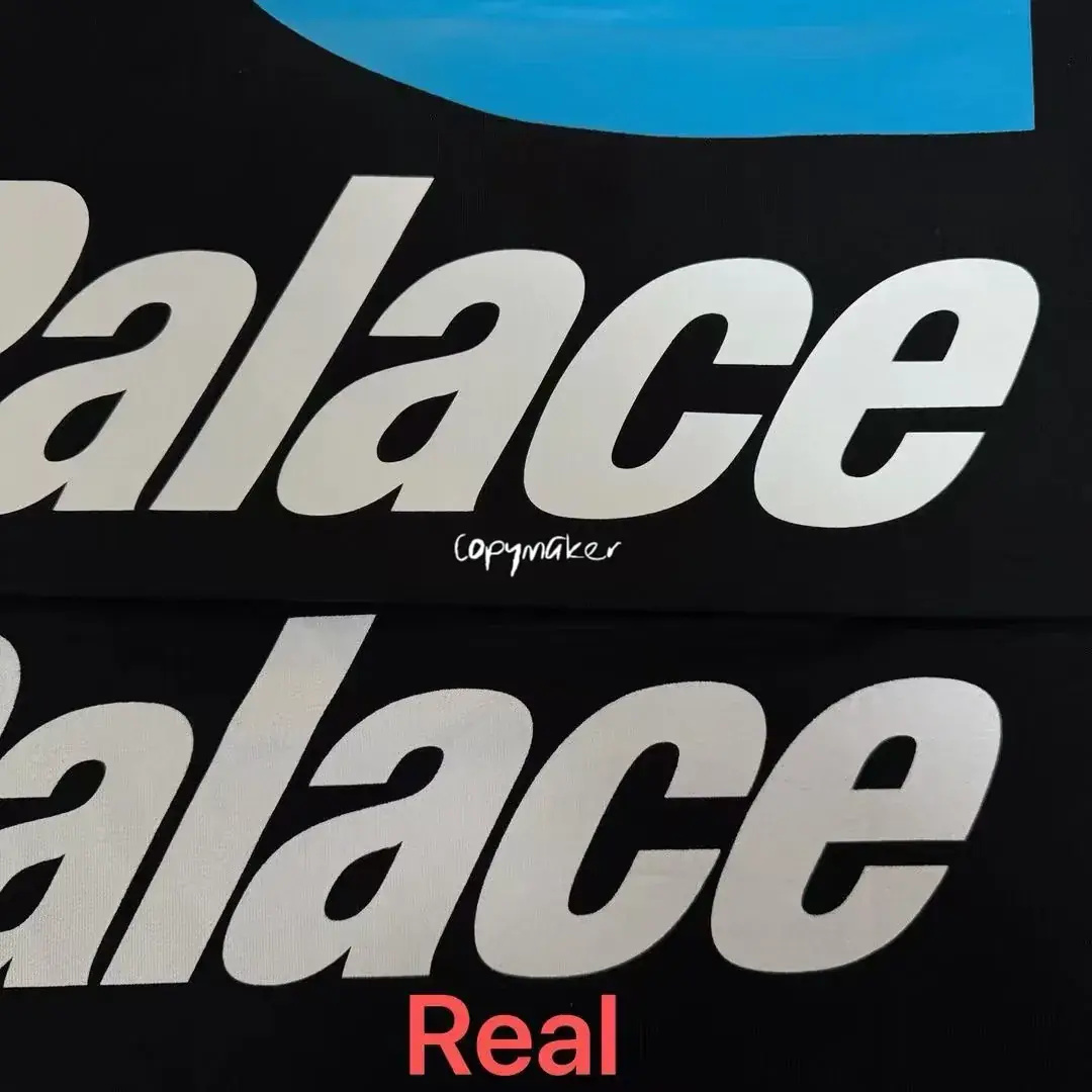 【現貨】PALACE x Carhartt WIP 24FW 聯名 後背印花 長袖T恤 卡哈特