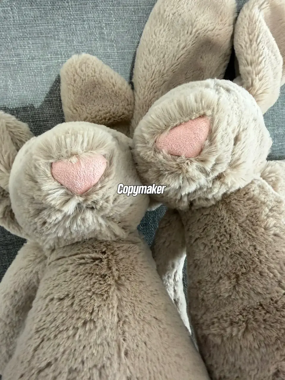 【預售】【過驗】Jellycat 害羞系列 經典邦尼兔陪伴玩偶安撫玩偶娃娃生日禮物 36cm 六色