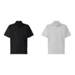 Homme Plisse lssey Mivake 22SS 三宅一生 經典 褶皺 短袖襯衫 JJ122