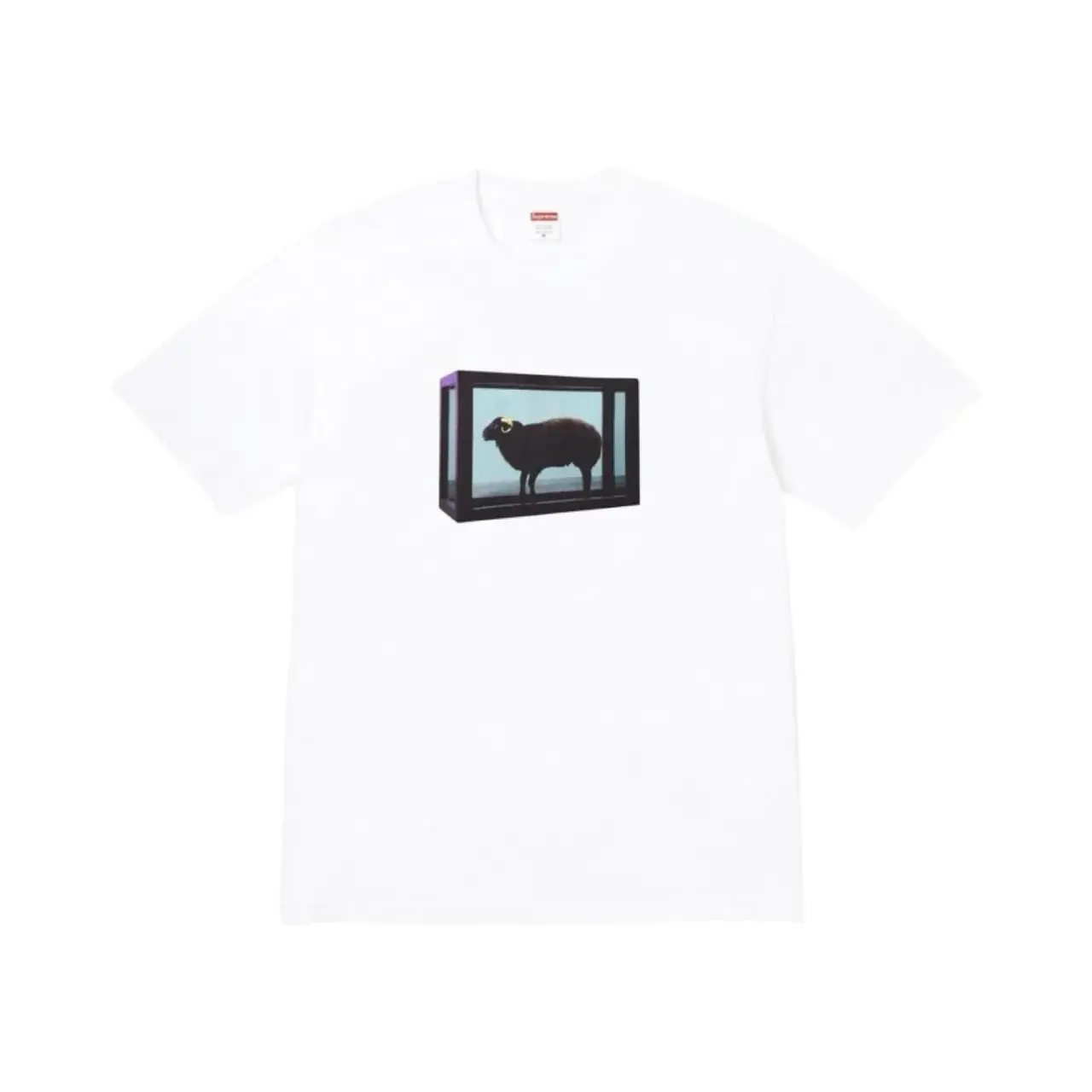 【618新品】Sup x Damien Hirst 25SS week 1 綿羊印花 短袖T恤 黑/白
