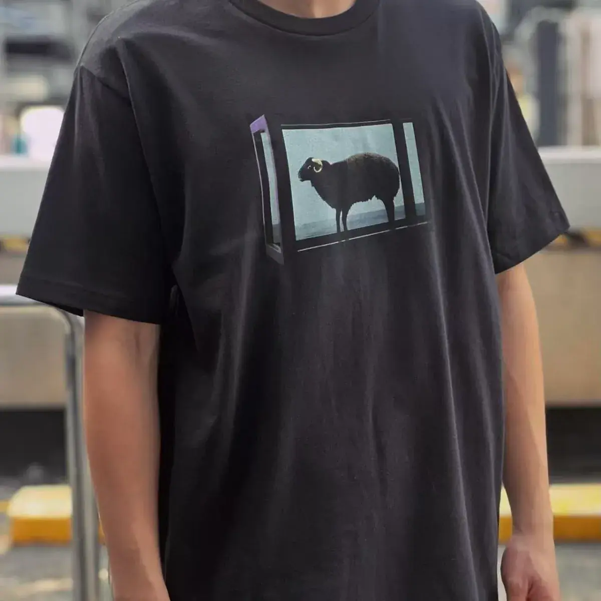 【618新品】Sup x Damien Hirst 25SS week 1 綿羊印花 短袖T恤 黑/白