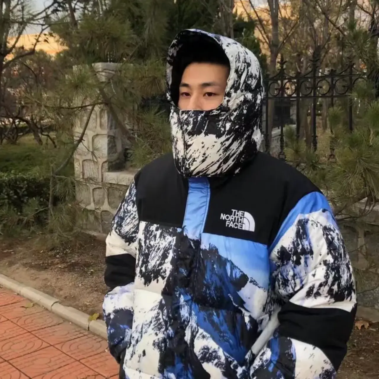 SUP x TNF 18SS 聯名 Mountain Parka 經典 雪山羽絨服 羽絨外套