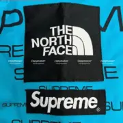 SUP 21FW week 9 x TNF 聯名 Steep Tech Apogee Jacket 衝鋒衣 風衣 外套 三色：圖片 14